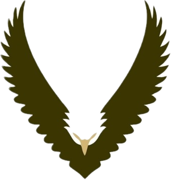 Victory Academy Logo